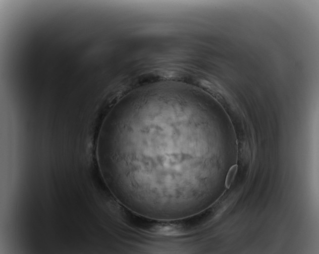 X0000088380557200705291350