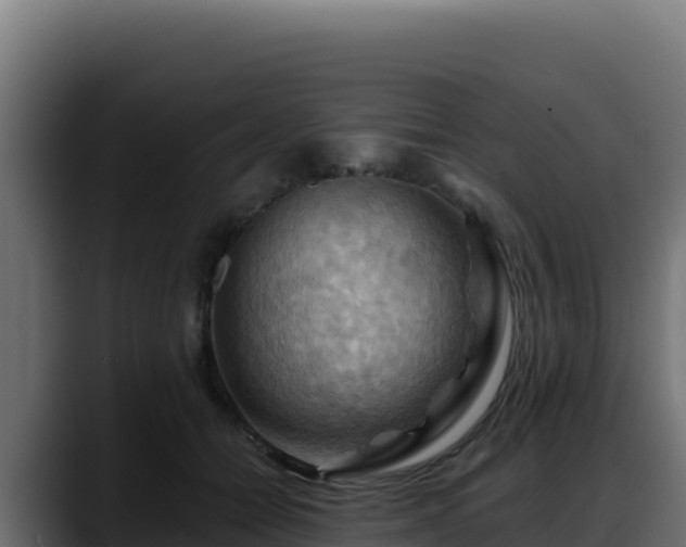 X0000088380558200705291350