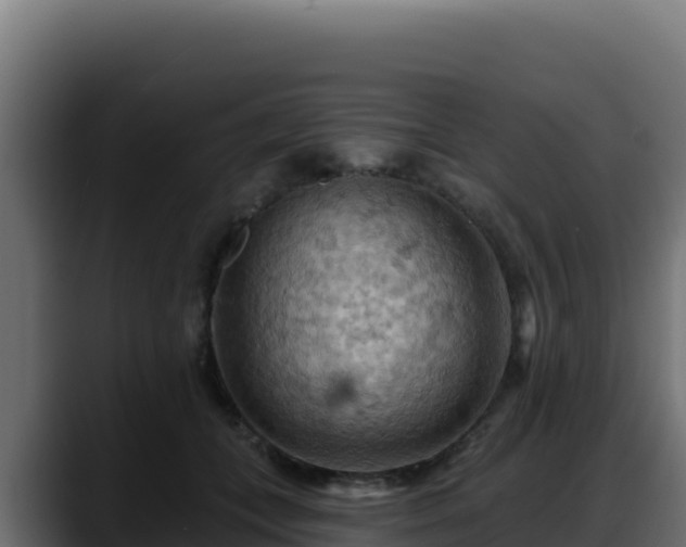 X0000088380559200705291350