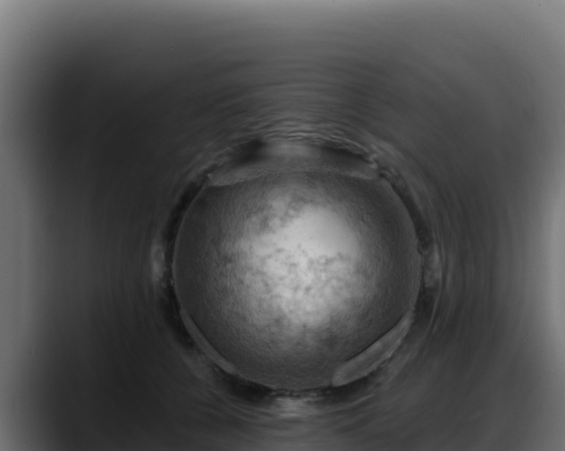 X0000088380560200705291350