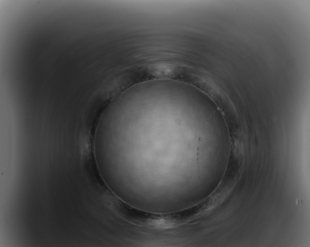 X0000088380561200705291350