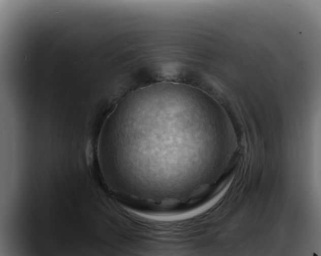 X0000088380562200705291350