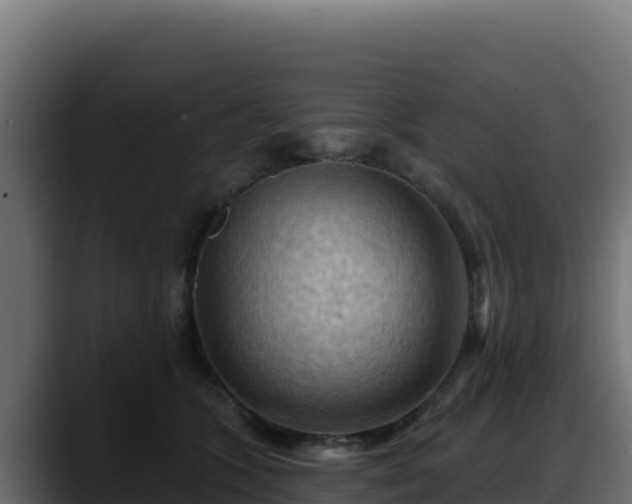 X0000088380563200705291350