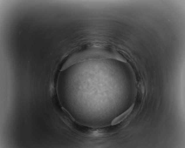 X0000088380564200705291350