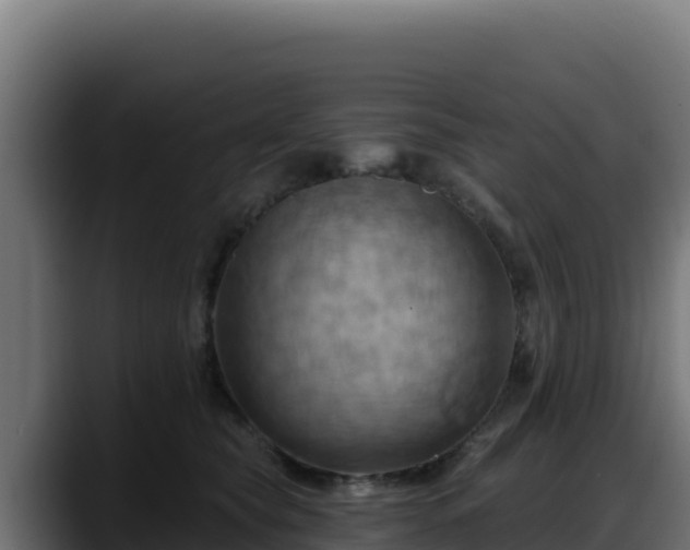 X0000088380565200705291350