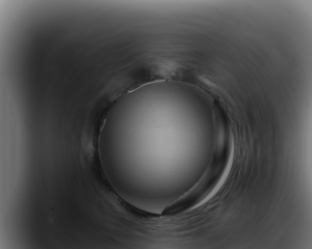 X0000088380566200705291350