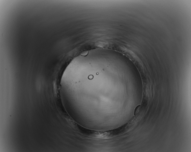 X0000088380569200705291350
