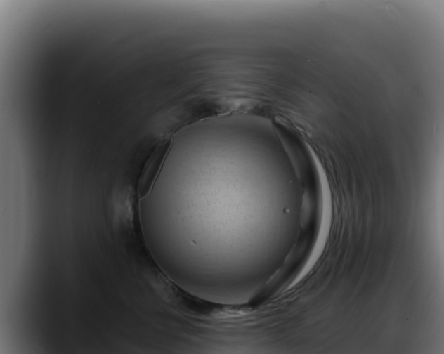 X0000088380570200705291350