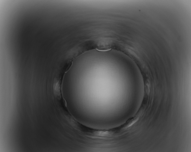 X0000088380575200705291350