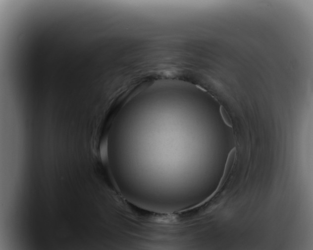 X0000088380576200705291350