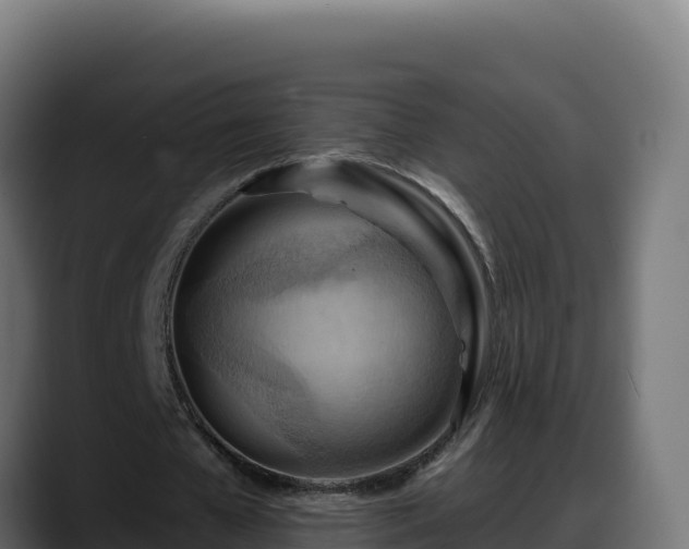 X0000088380577200705291349