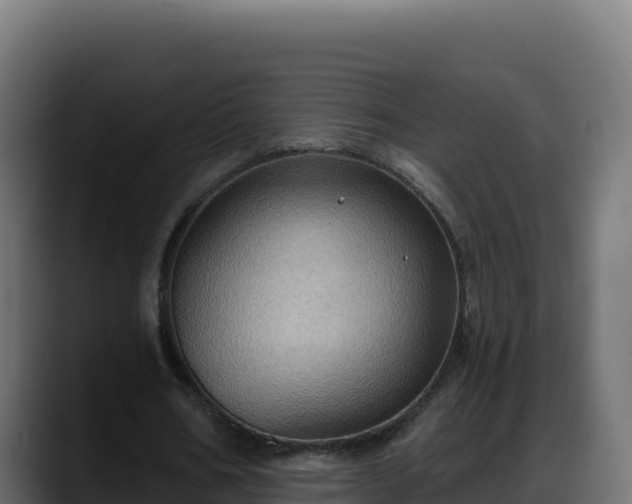 X0000088380578200705291349