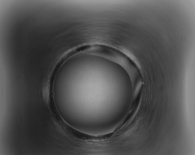 X0000088380580200705291349