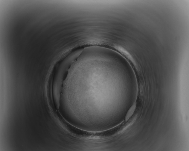 X0000088380581200705291349
