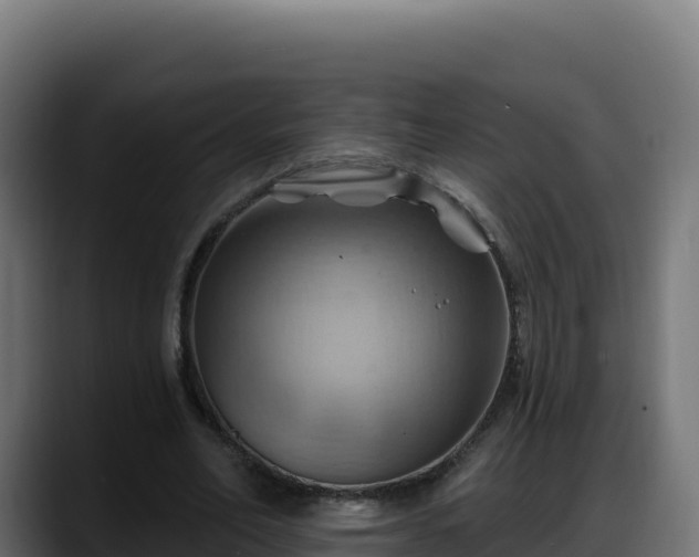 X0000088380582200705291349