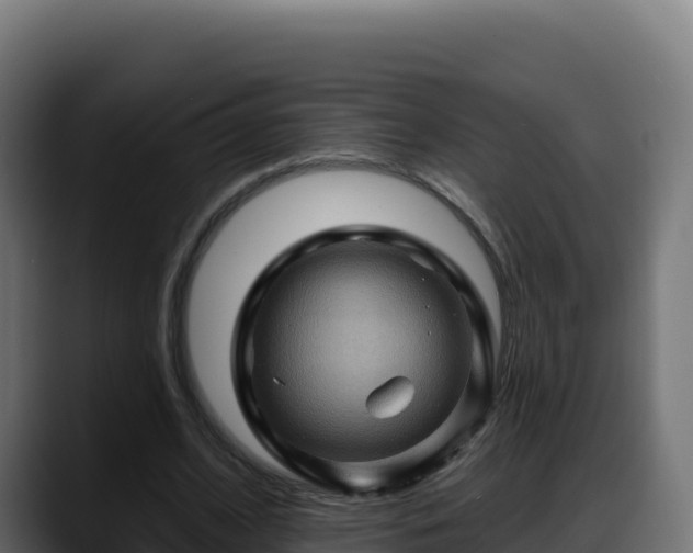 X0000088380584200705291349