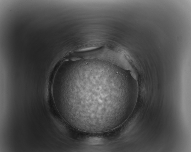 X0000088380586200705291349
