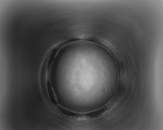 X0000088380587200705291349