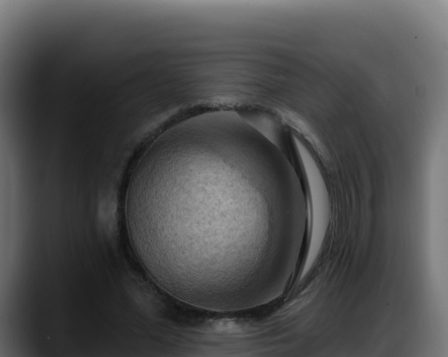 X0000088380588200705291349