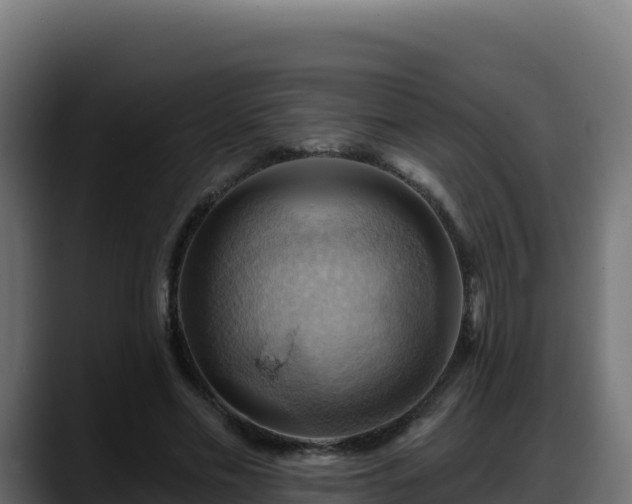 X0000088380589200705291349