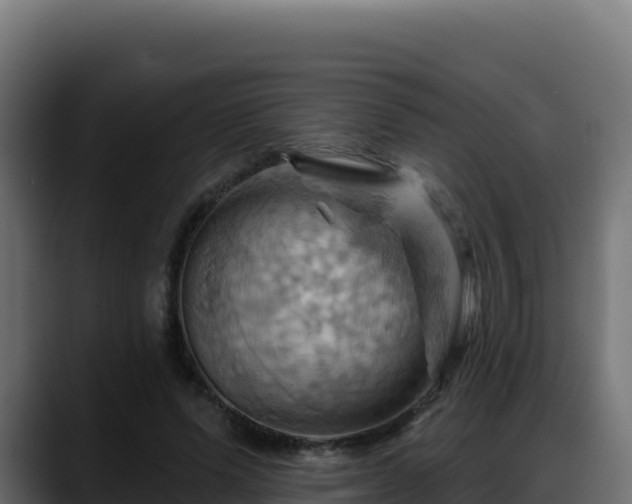 X0000088380591200705291349