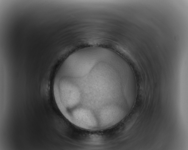X0000088380592200705291349