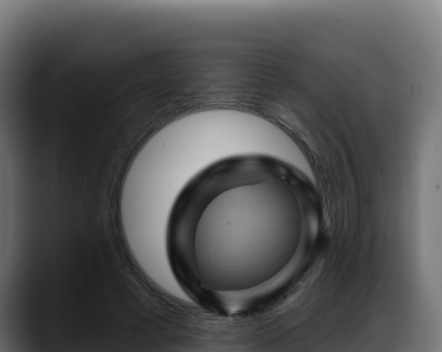 X0000088380593200705291349