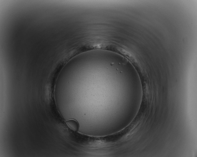 X0000088380594200705291349