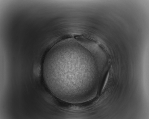 X0000088380596200705291349