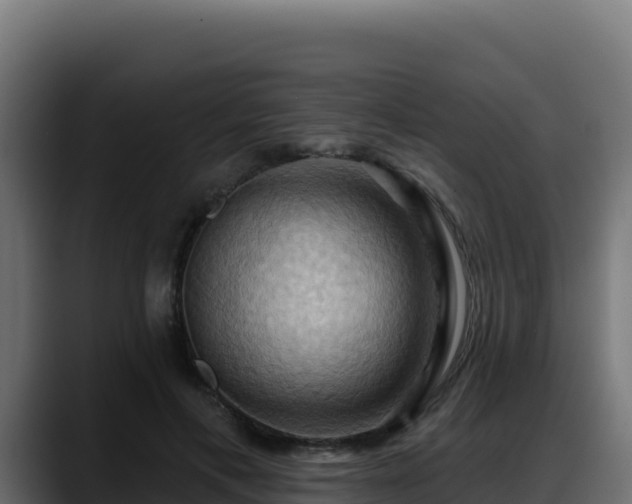 X0000088380597200705291349