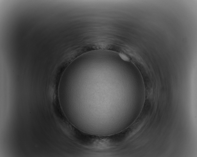 X0000088380599200705291349