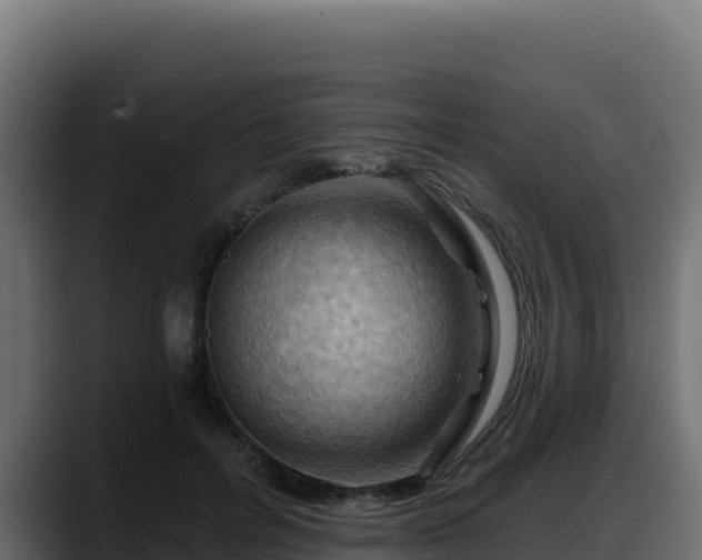 X0000088380600200705291349