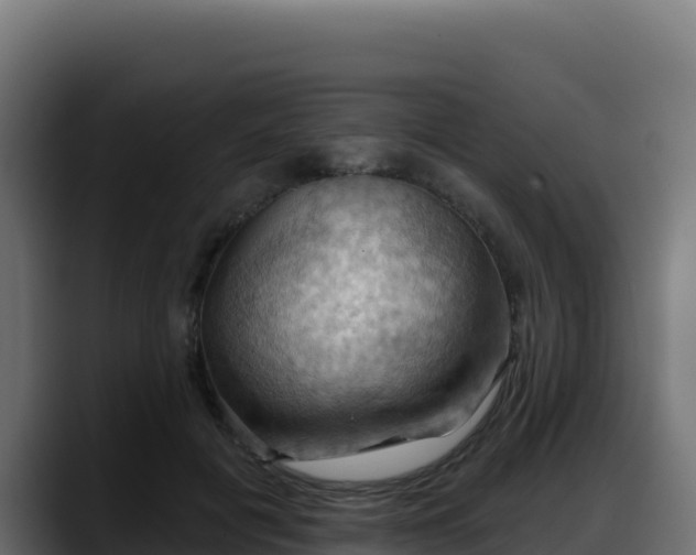 X0000088380601200705291349