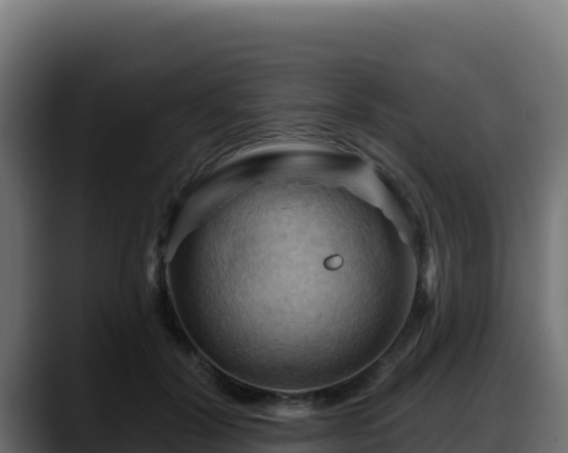 X0000088380604200705291349