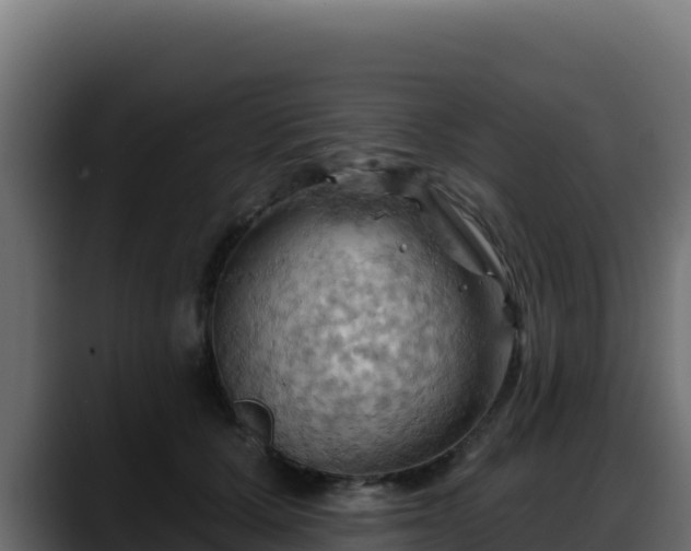 X0000088380607200705291349