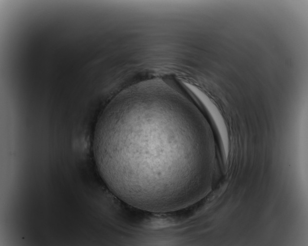 X0000088380608200705291349