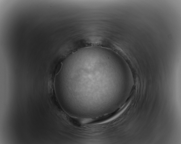 X0000088380609200705291349