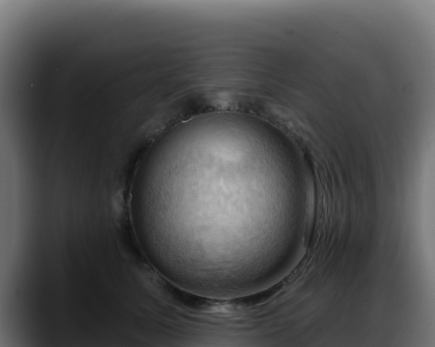X0000088380611200705291349