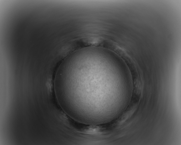 X0000088380612200705291349