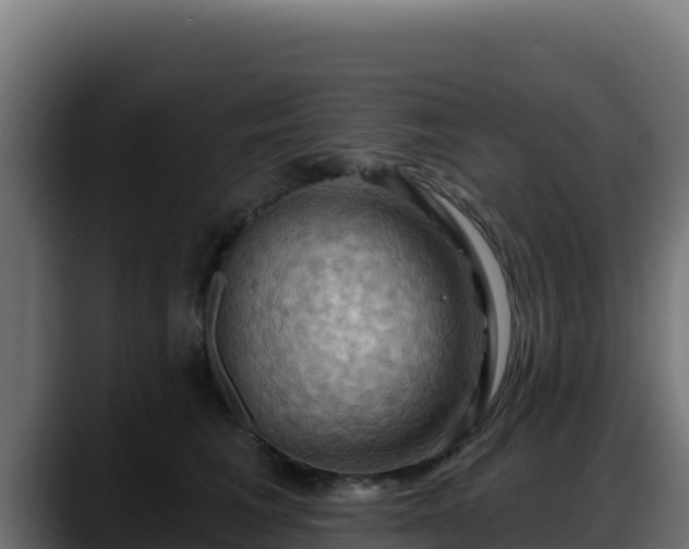 X0000088380613200705291349