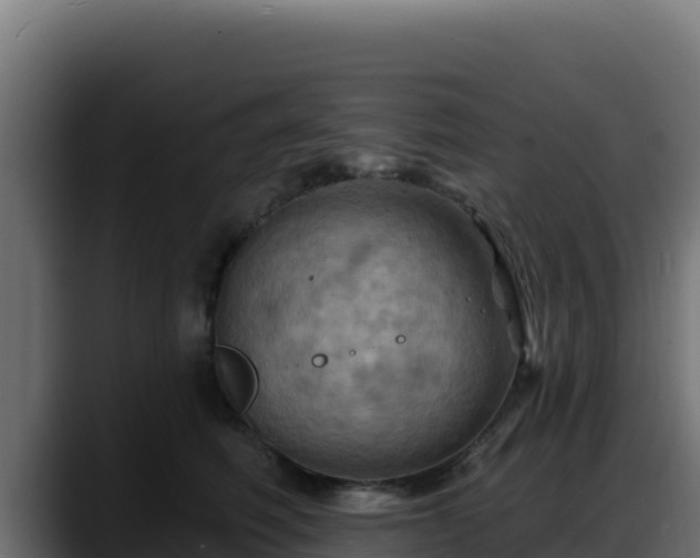 X0000088380614200705291349