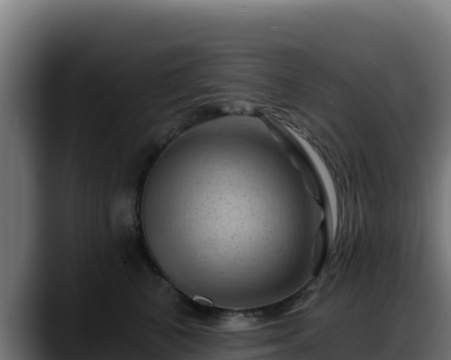 X0000088380616200705291349