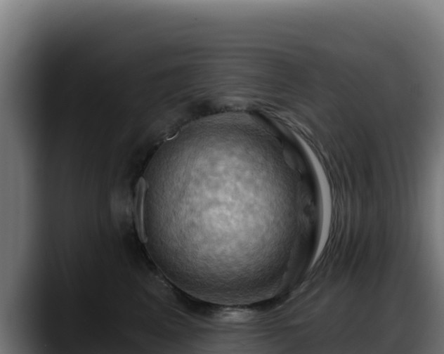 X0000088380617200705291349