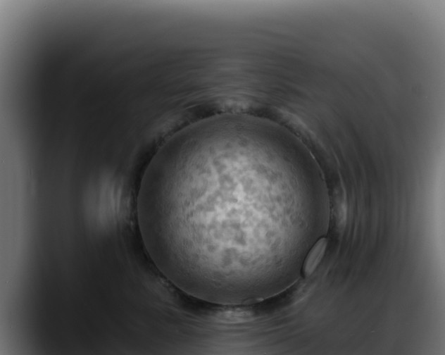 X0000088380619200705291349