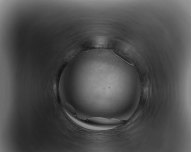 X0000088380620200705291349