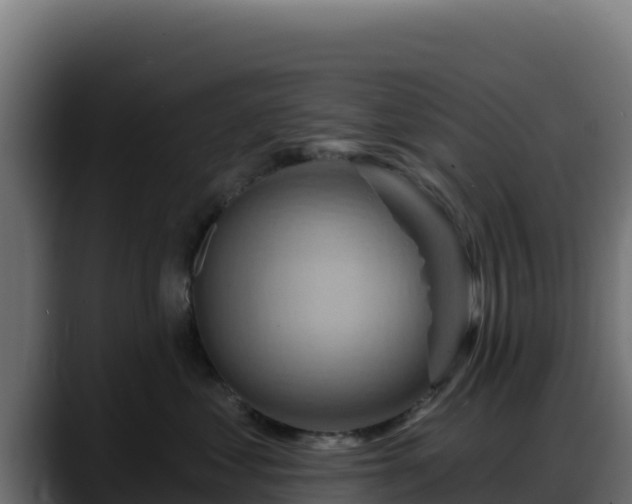 X0000088380621200705291349