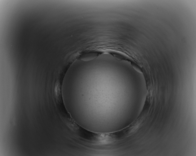 X0000088380623200705291349