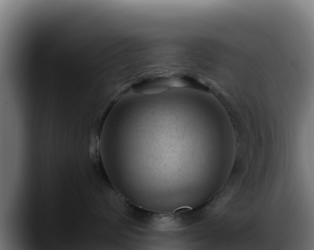 X0000088380624200705291349
