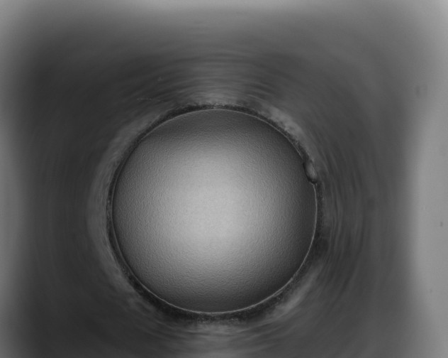 X0000088380625200705291348