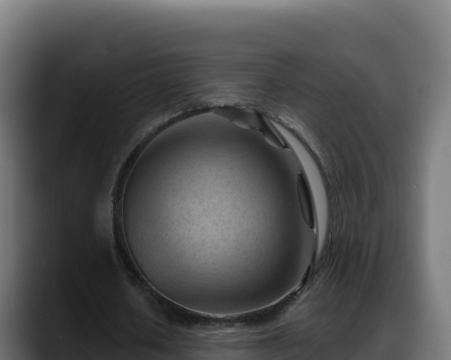 X0000088380626200705291348